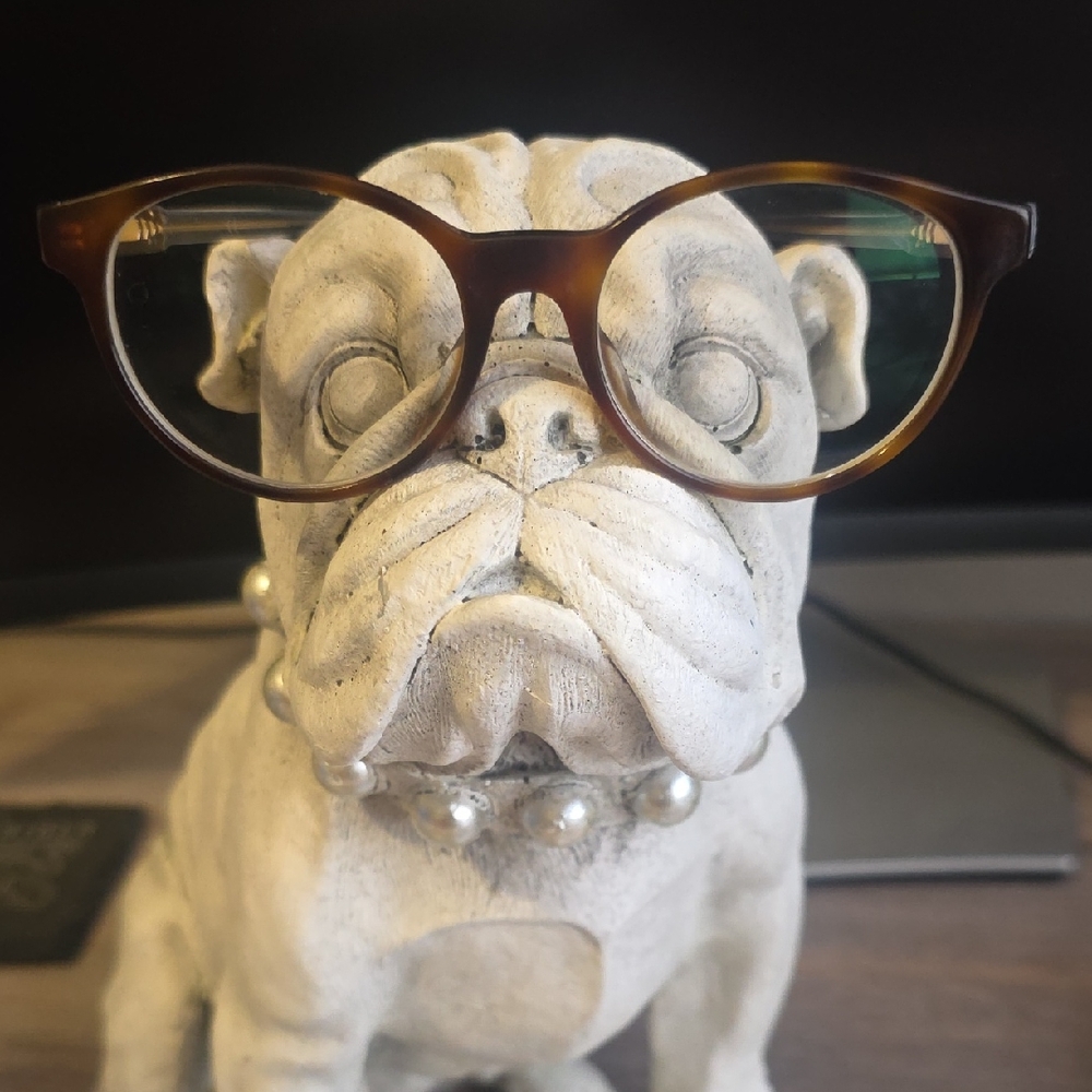 Gucci Brown Tortoiseshell Glasses Frame